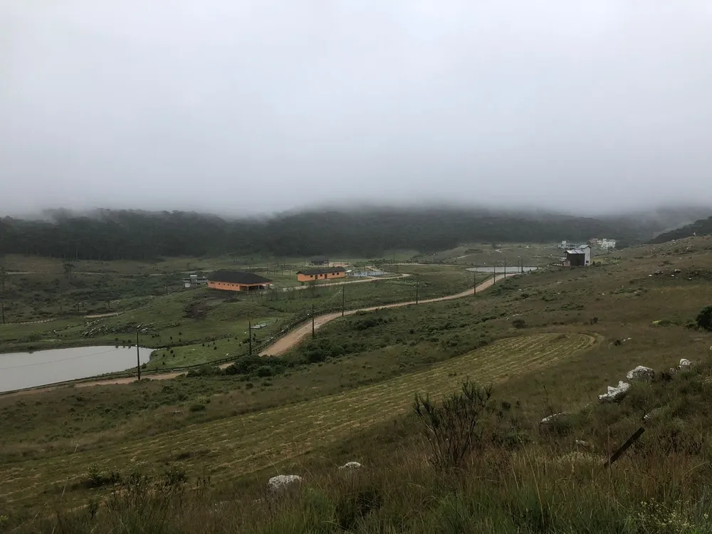 Terreno, 2000 m² - Foto 4