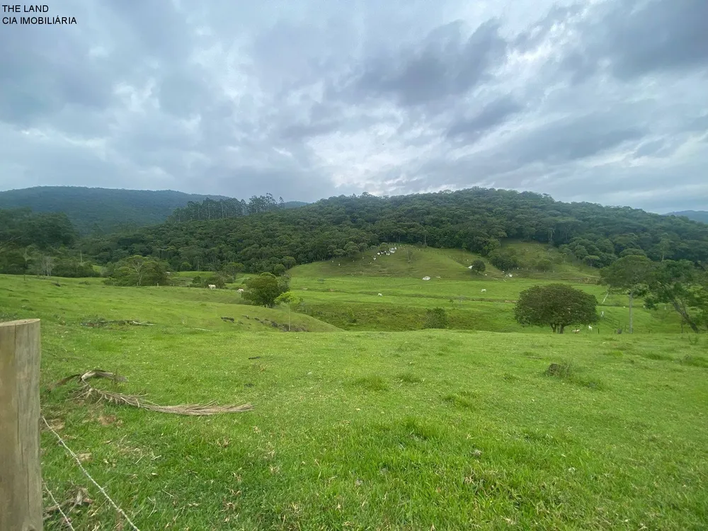 Terreno, 3 hectares - Foto 8