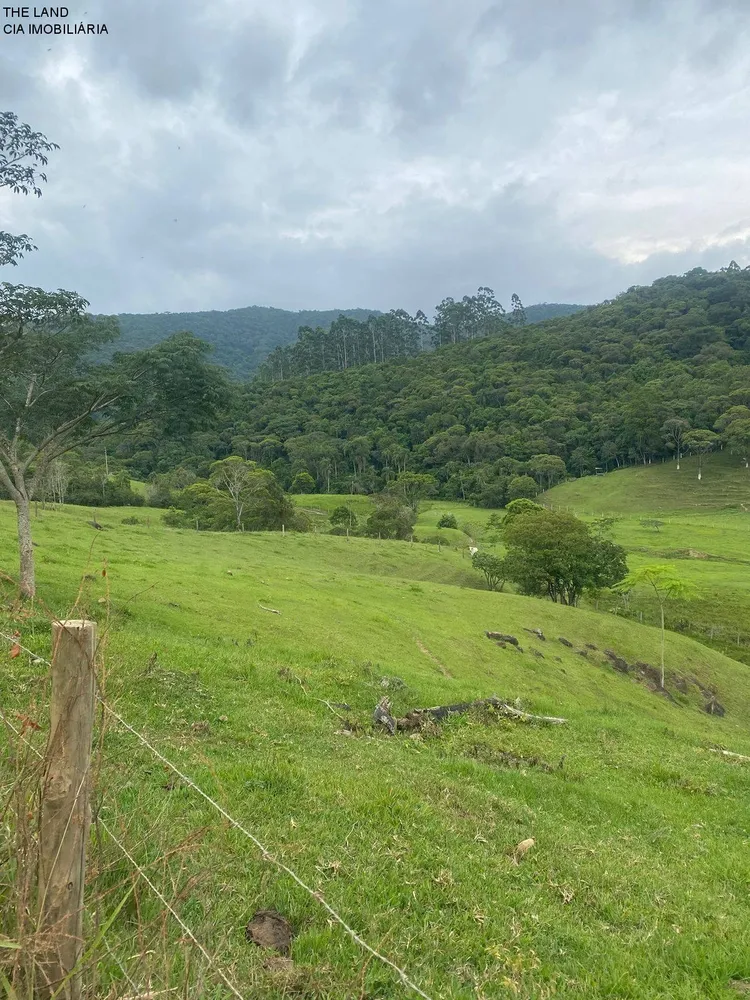 Terreno, 3 hectares - Foto 11