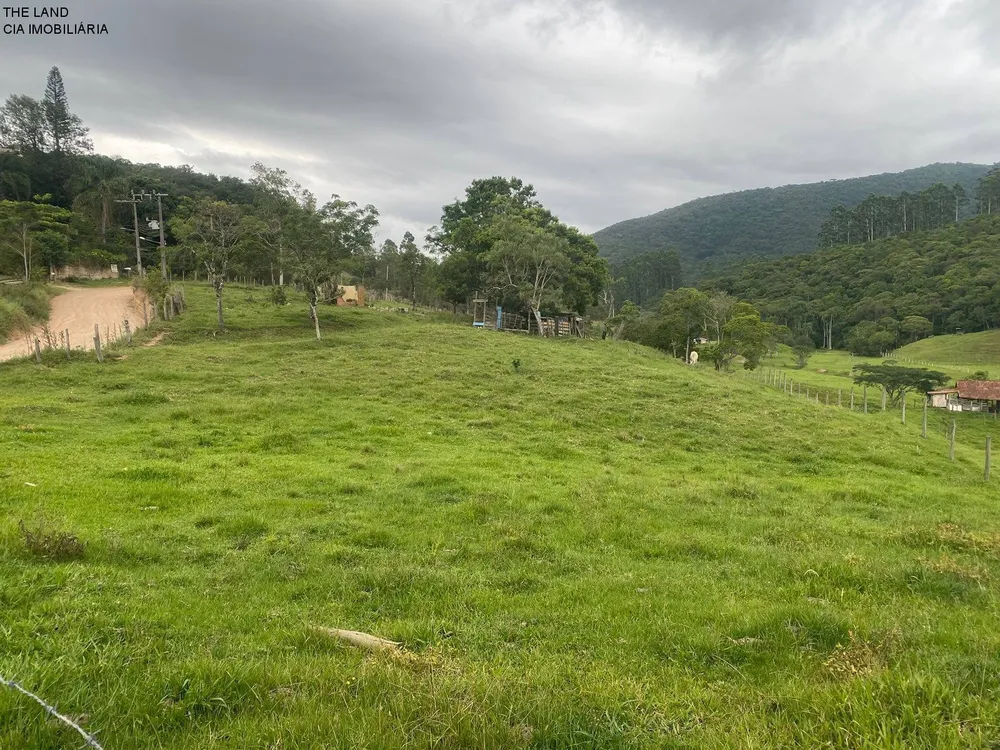Terreno, 3 hectares - Foto 3