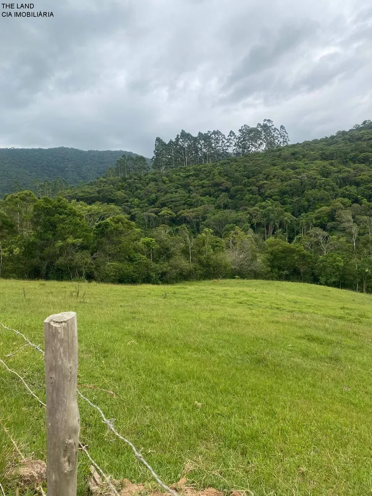 Terreno, 3 hectares - Foto 6
