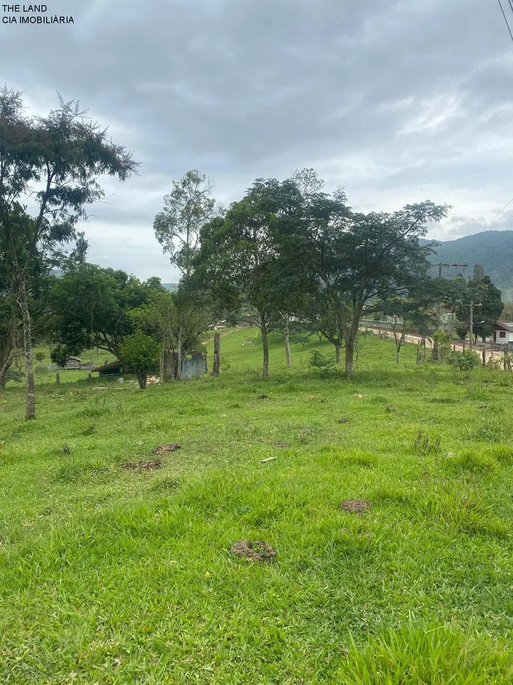Terreno, 3 hectares - Foto 7