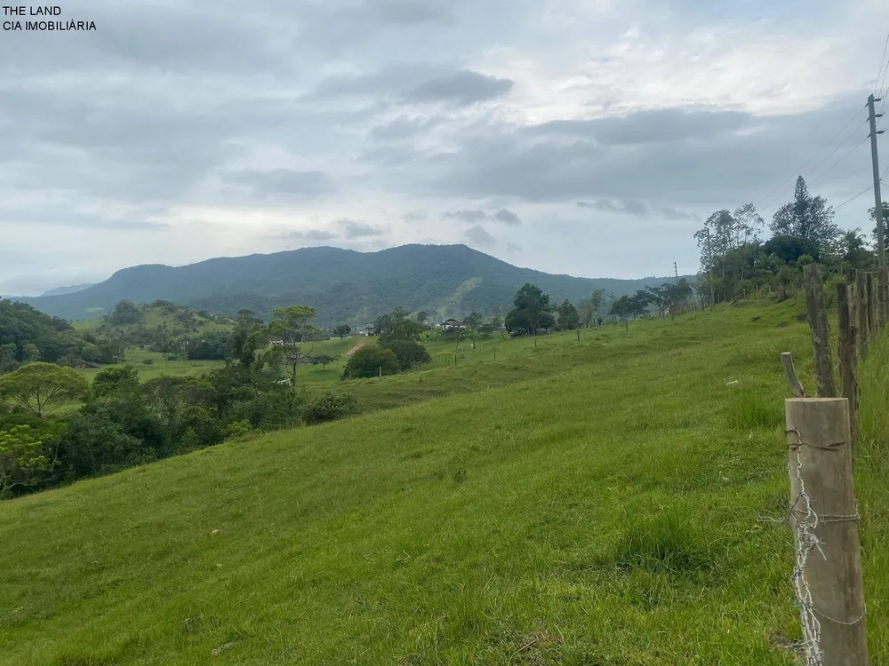 Terreno, 3 hectares - Foto 4