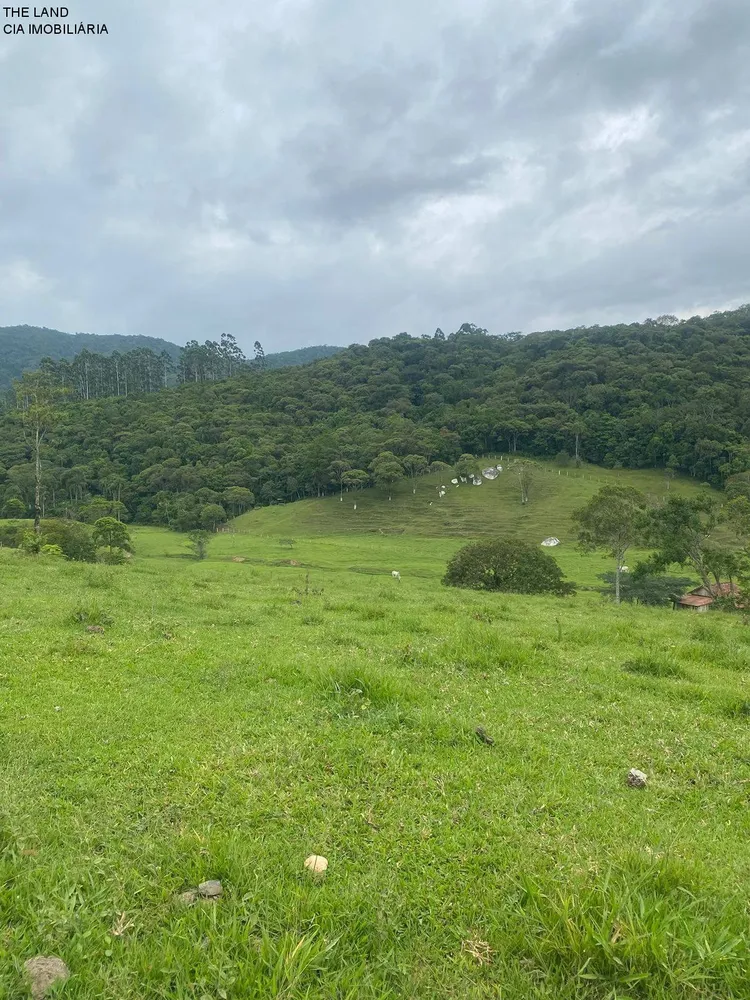 Terreno, 3 hectares - Foto 9