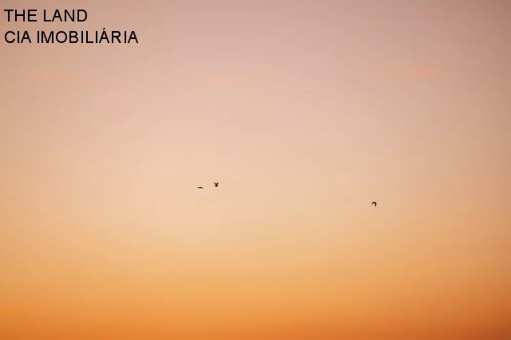 Terreno, 601 m² - Foto 6