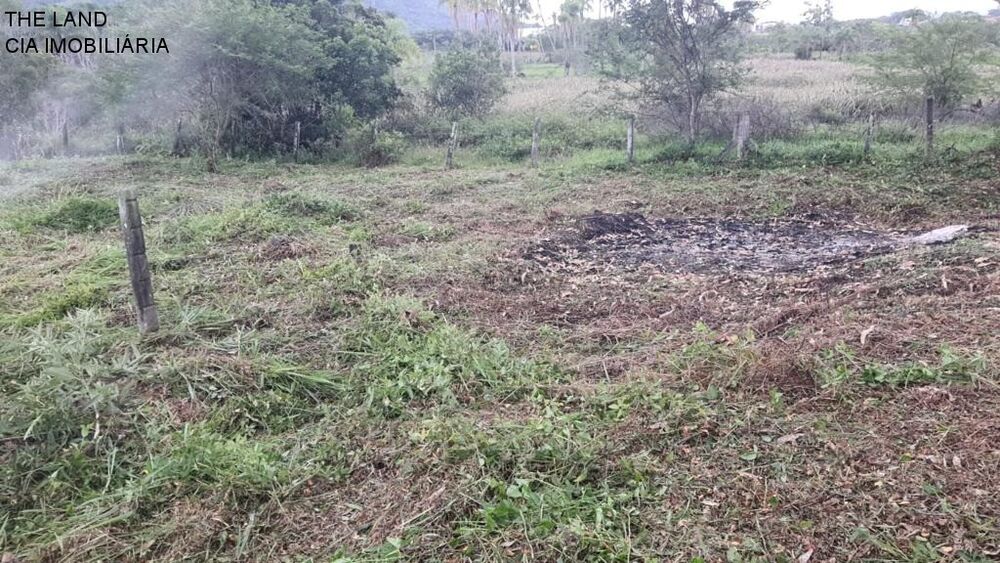 Terreno, 1000 m² - Foto 4