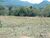 Terreno, 1000 m² - Foto 2