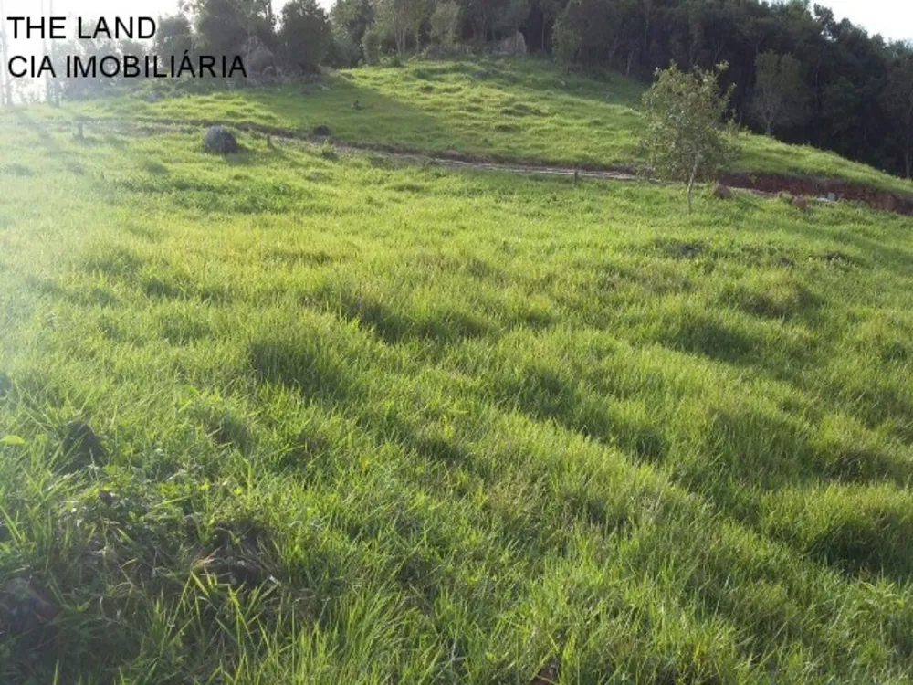 Terreno, 2100 m² - Foto 6