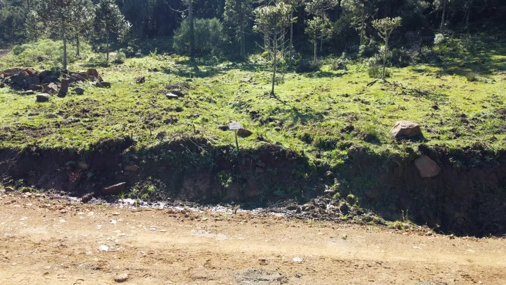 Terreno, 20000 m² - Foto 4