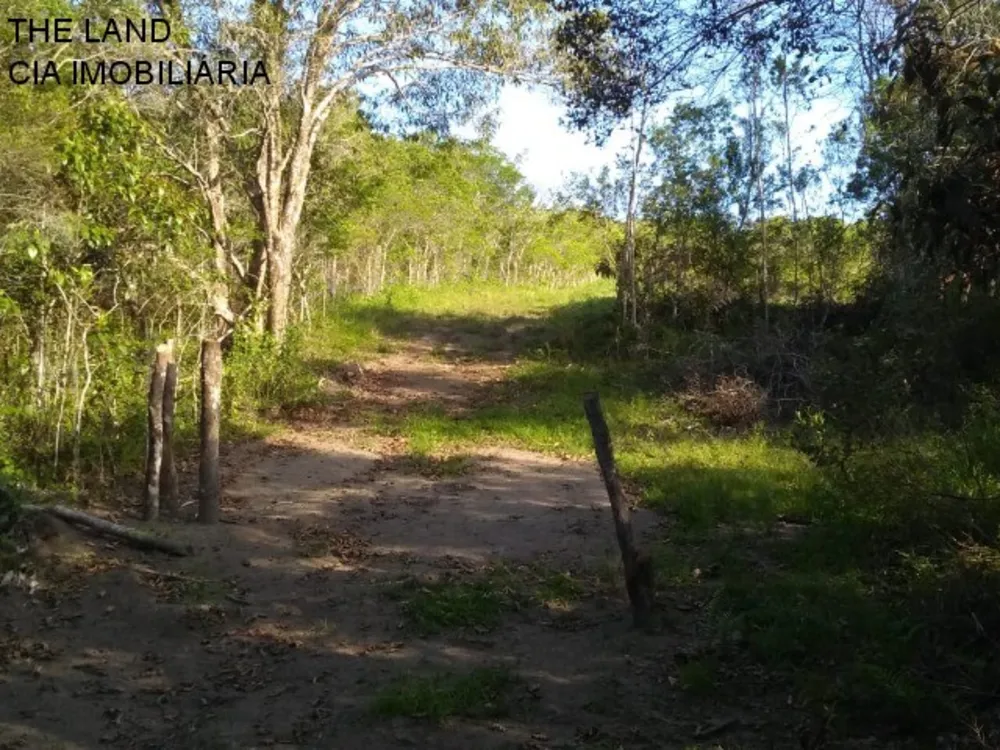 Terreno, 1 hectares - Foto 8