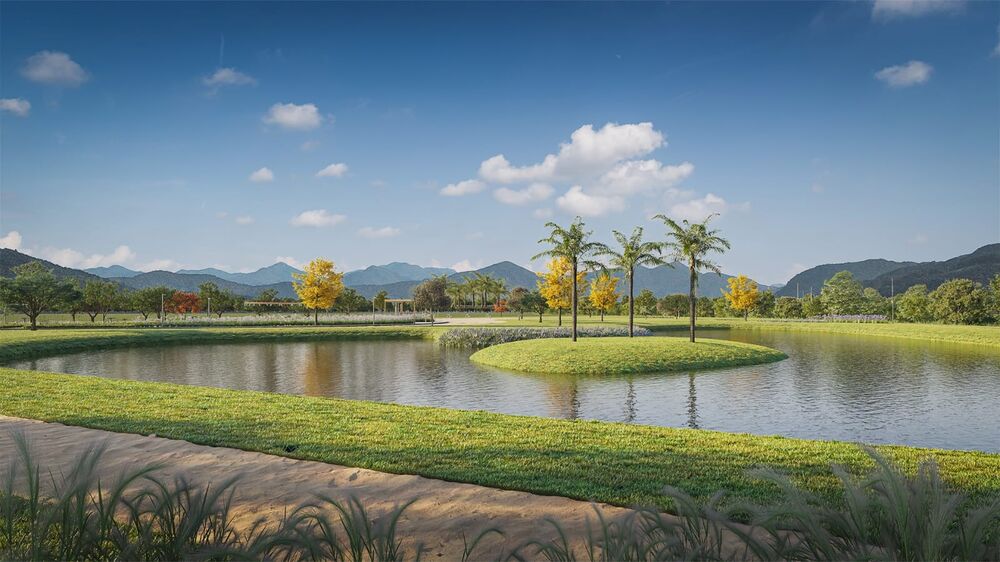 Terreno, 300 m² - Foto 3