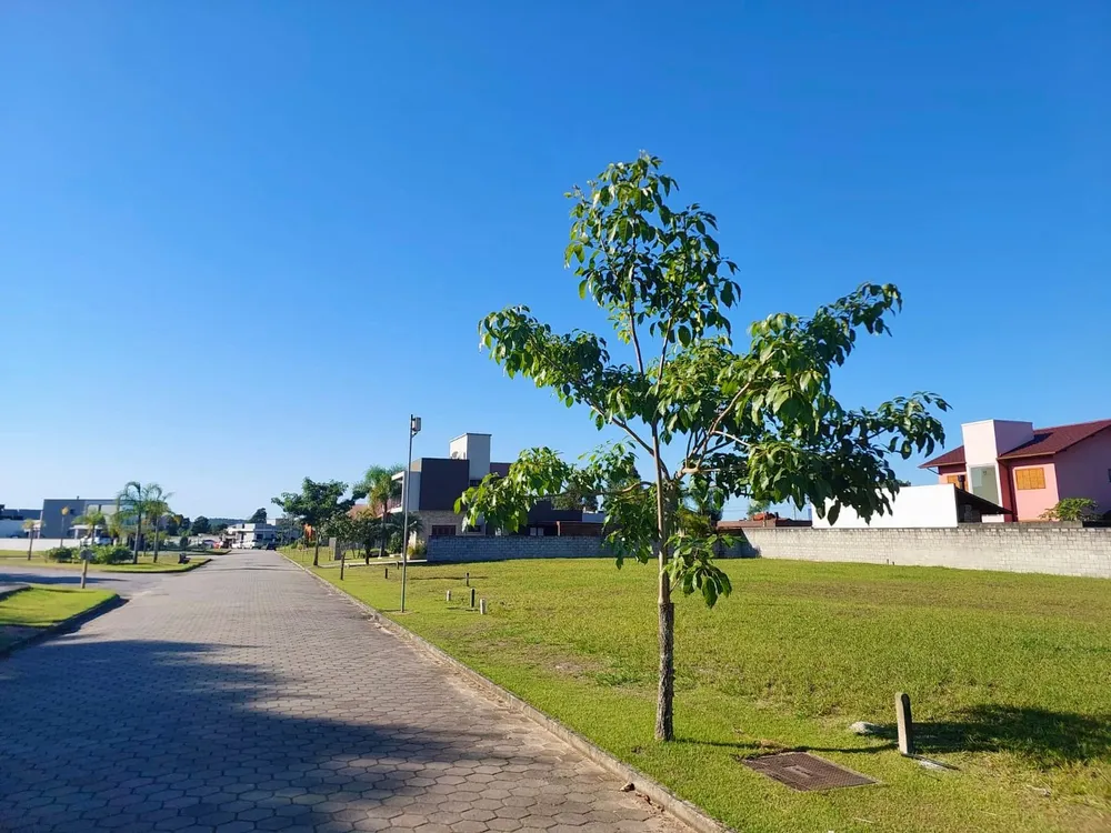 Terreno, 450 m² - Foto 3