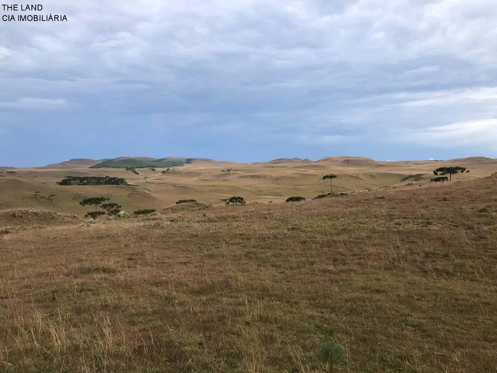 Fazenda, 1000 m² - Foto 3