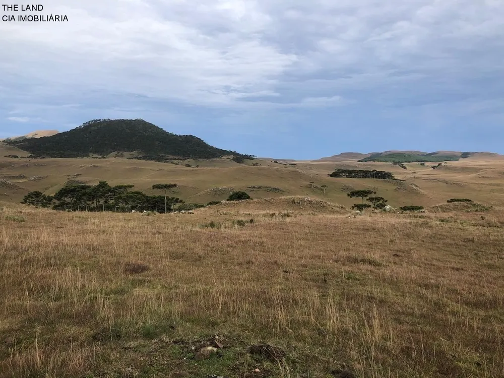 Fazenda, 1000 m² - Foto 4