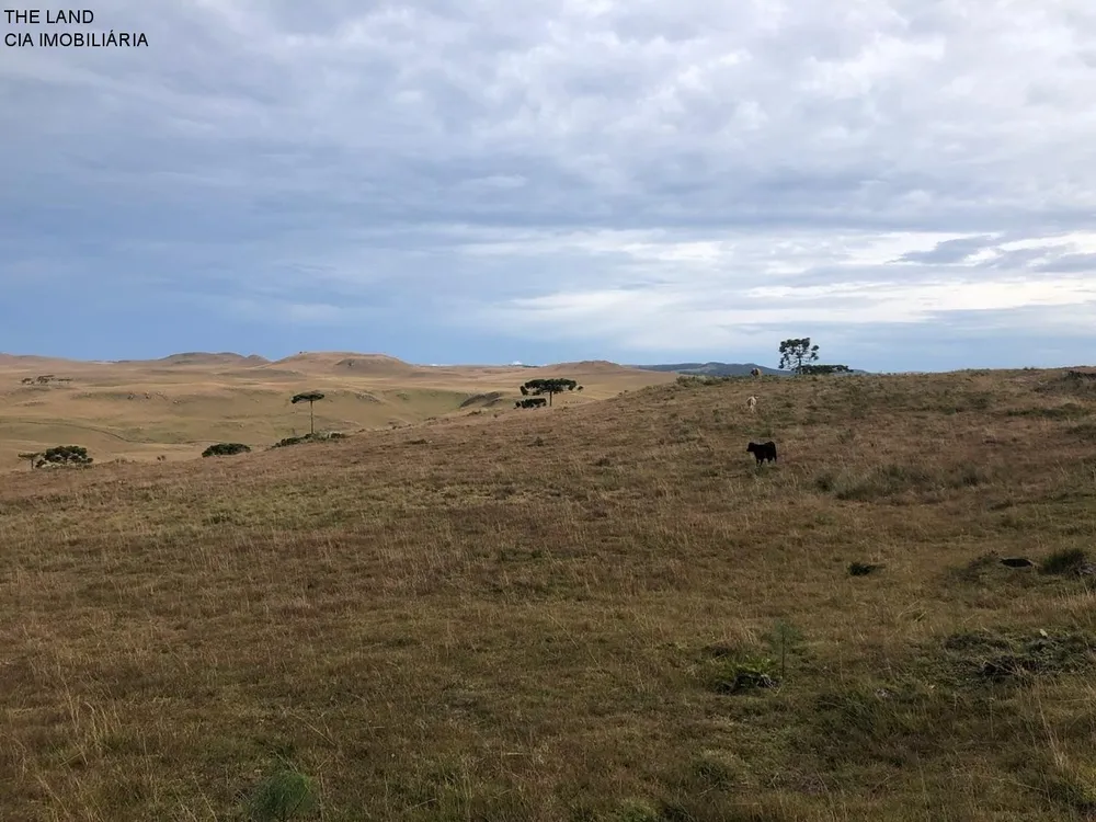 Fazenda, 1000 m² - Foto 2