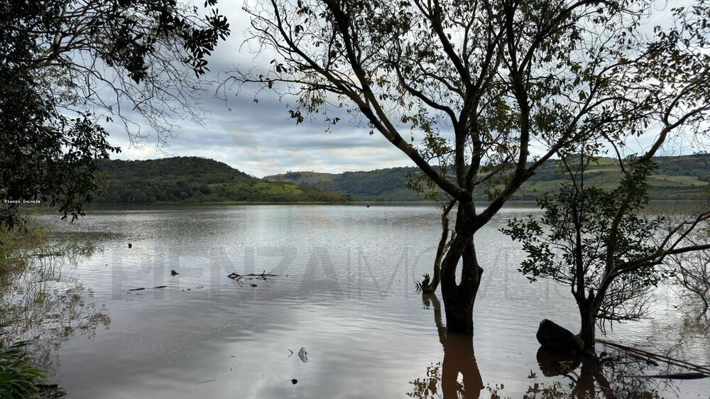 Sítio, 4 quartos, 5000 m² - Foto 7