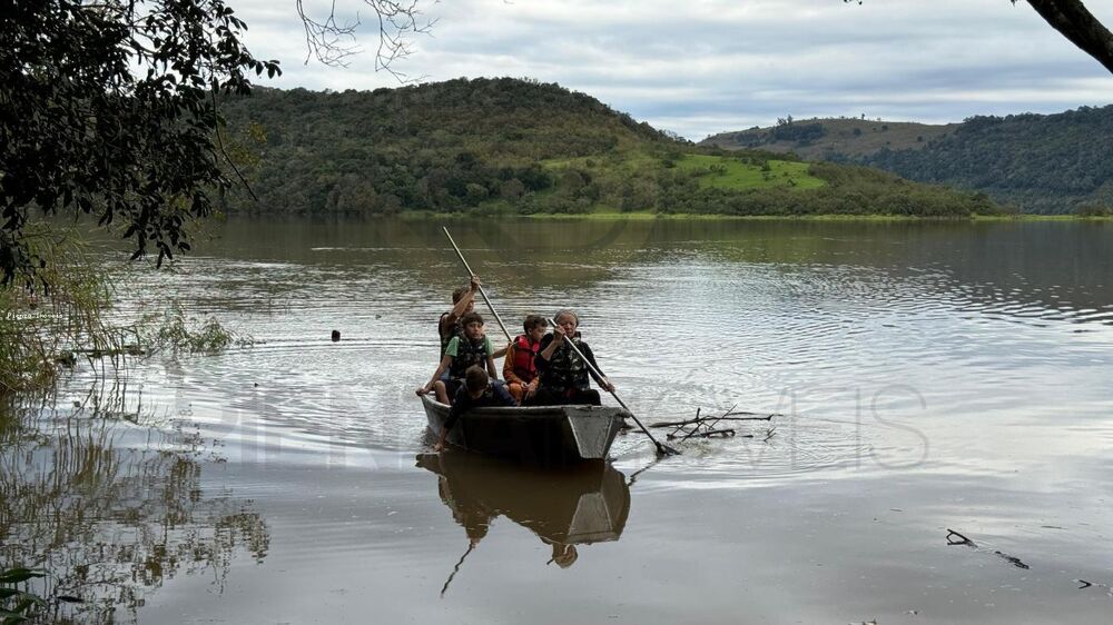 Sítio, 4 quartos, 5000 m² - Foto 1