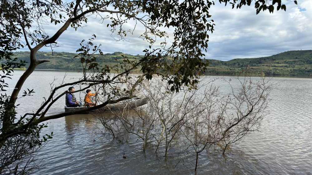 Sítio, 4 quartos, 5000 m² - Foto 2