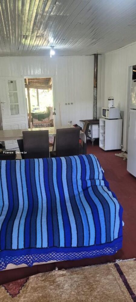 Sítio, 4 quartos, 5000 m² - Foto 8