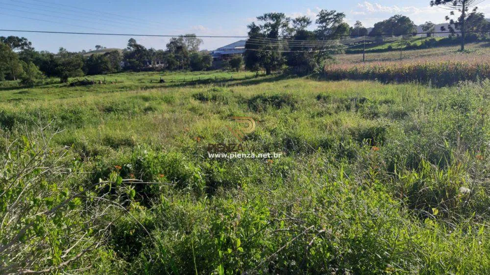 Terreno, 3 hectares - Foto 4