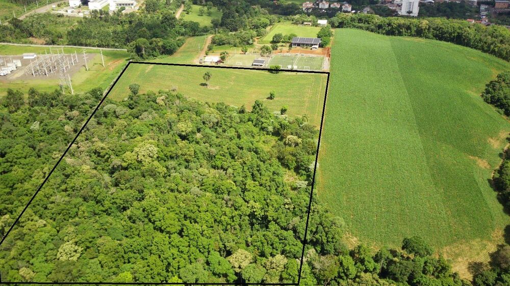 Terreno, 5 hectares - Foto 7