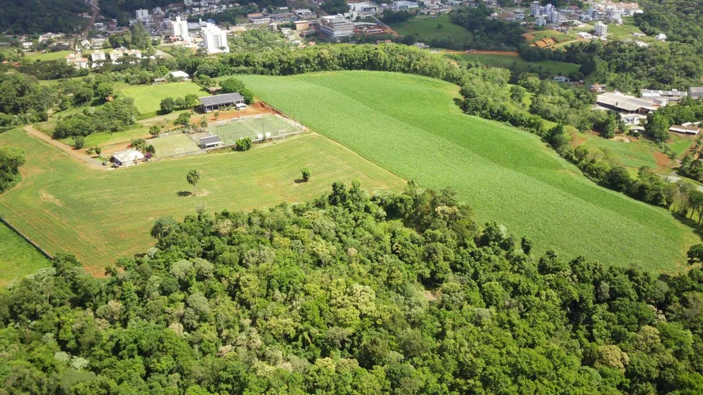 Terreno, 5 hectares - Foto 3