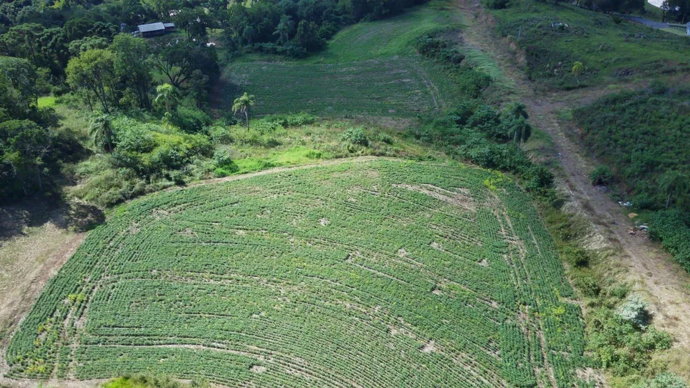 Terreno, 3500 m² - Foto 6