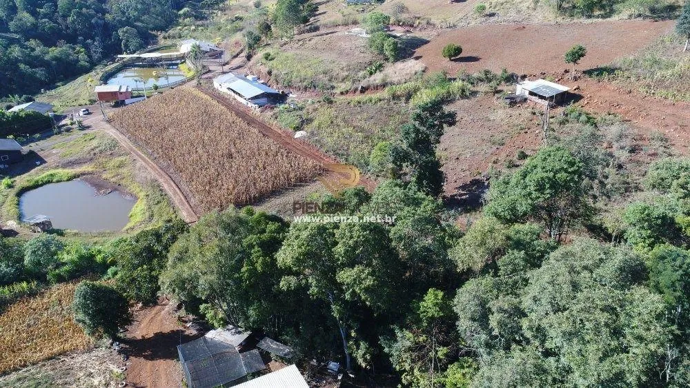 Terreno, 10000 m² - Foto 3