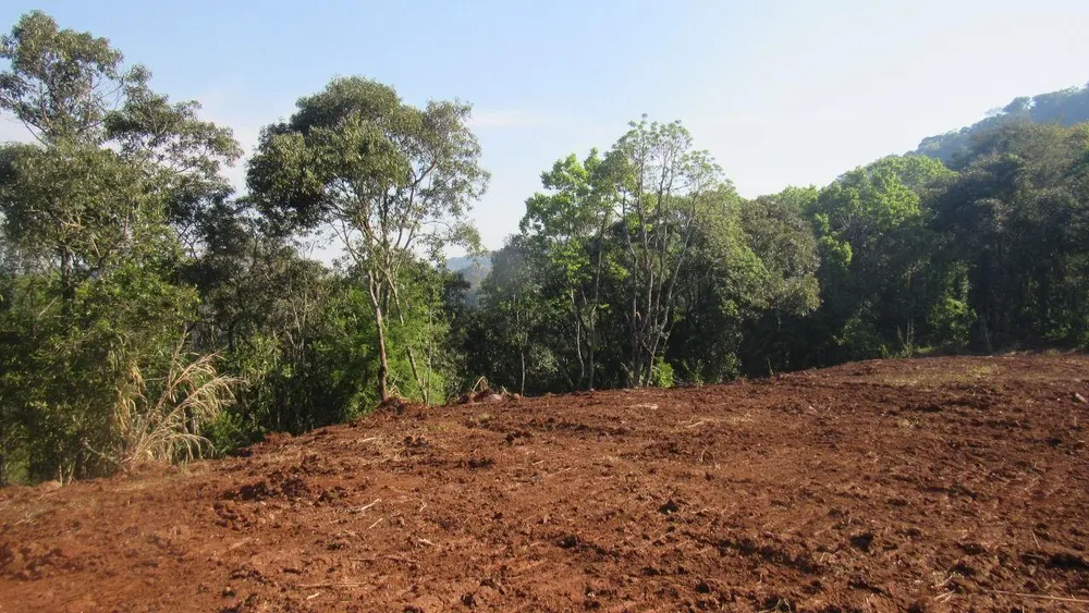 Terreno, 3 hectares - Foto 7