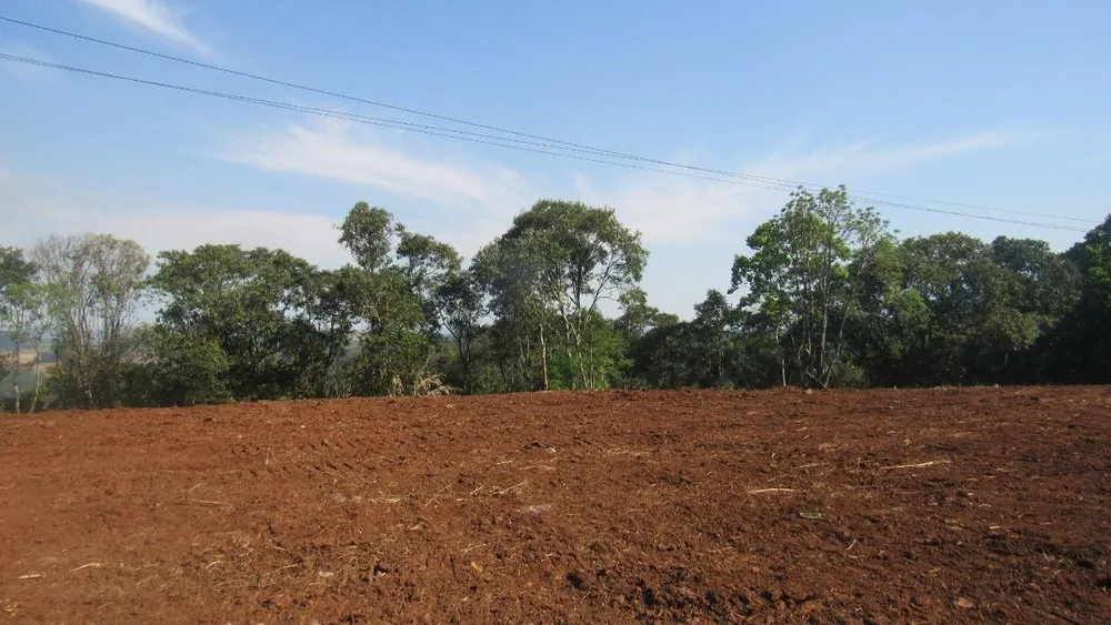 Terreno, 3 hectares - Foto 6