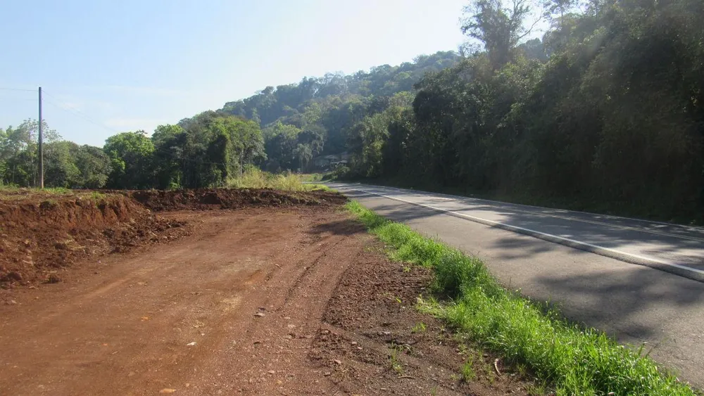 Terreno, 3 hectares - Foto 4