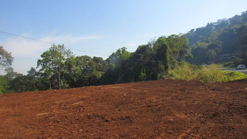 Terreno, 3 hectares - Foto 8