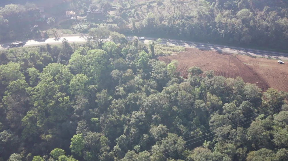 Terreno, 3 hectares - Foto 3