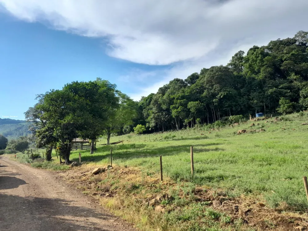 Terreno, 4 hectares - Foto 3