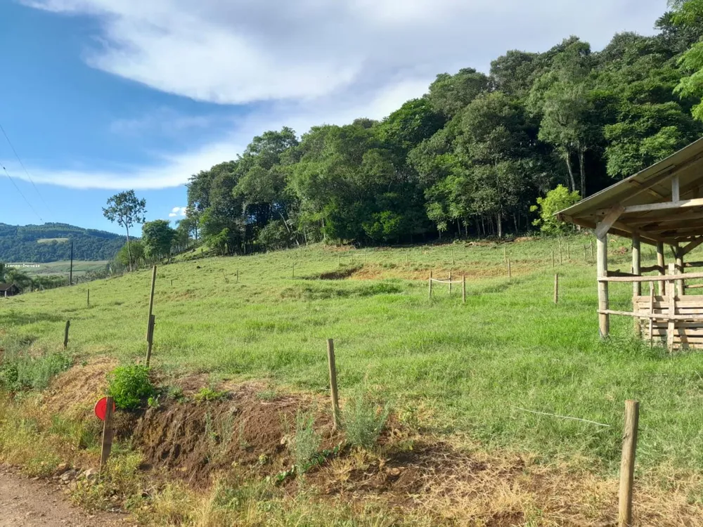 Terreno, 4 hectares - Foto 8