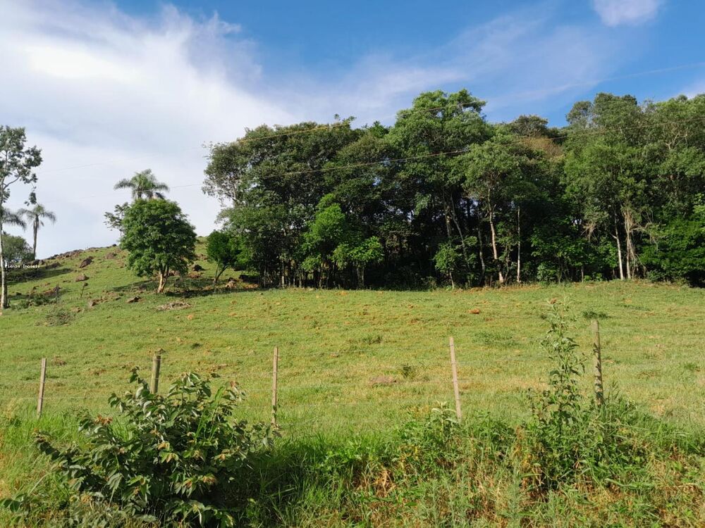 Terreno, 4 hectares - Foto 3