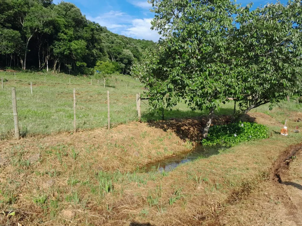 Terreno, 4 hectares - Foto 10