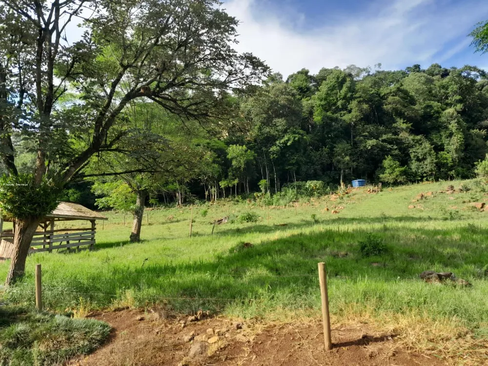 Terreno, 4 hectares - Foto 7