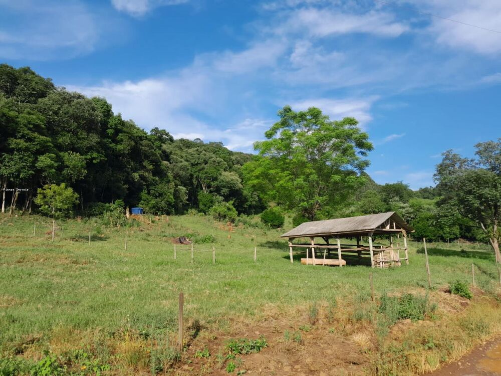 Terreno, 4 hectares - Foto 4