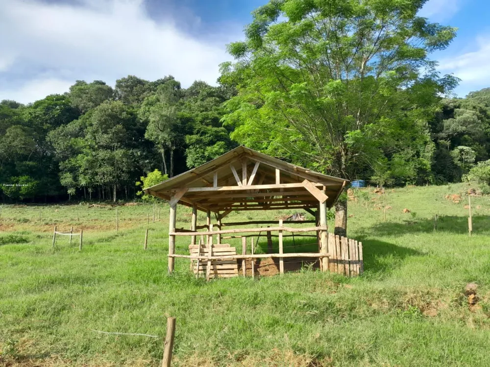 Terreno, 4 hectares - Foto 11