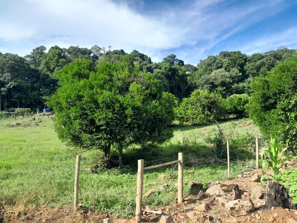 Terreno, 4 hectares - Foto 2