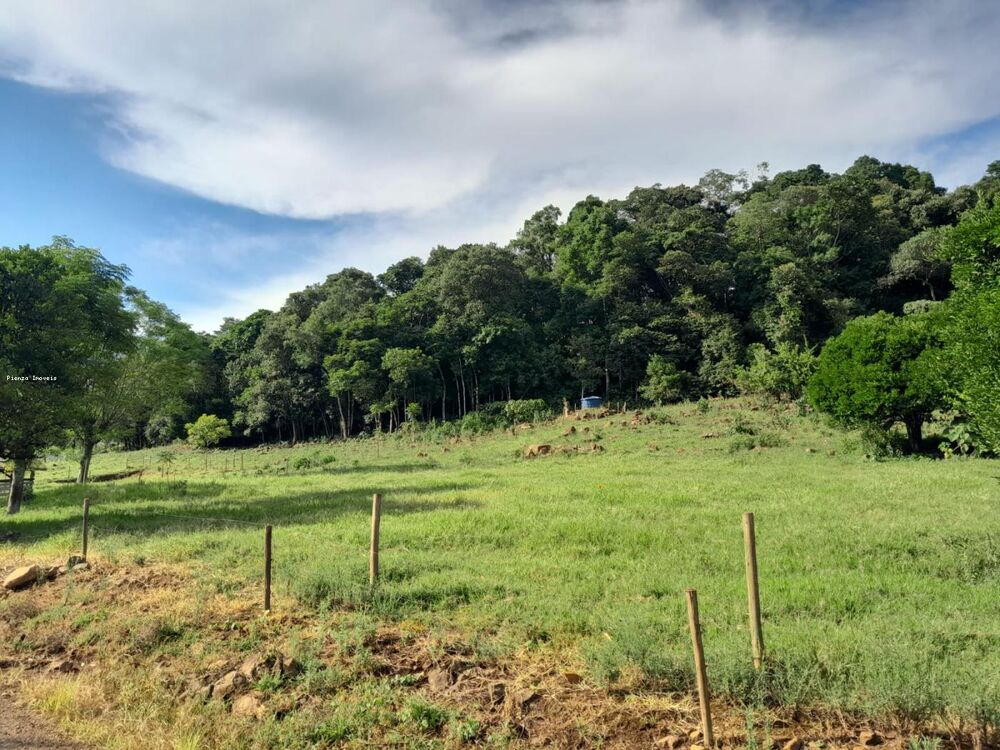 Terreno, 4 hectares - Foto 1
