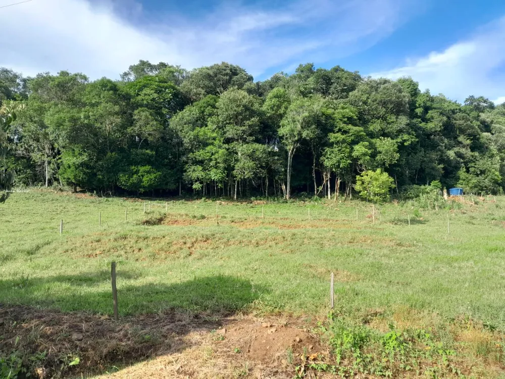 Terreno, 4 hectares - Foto 6