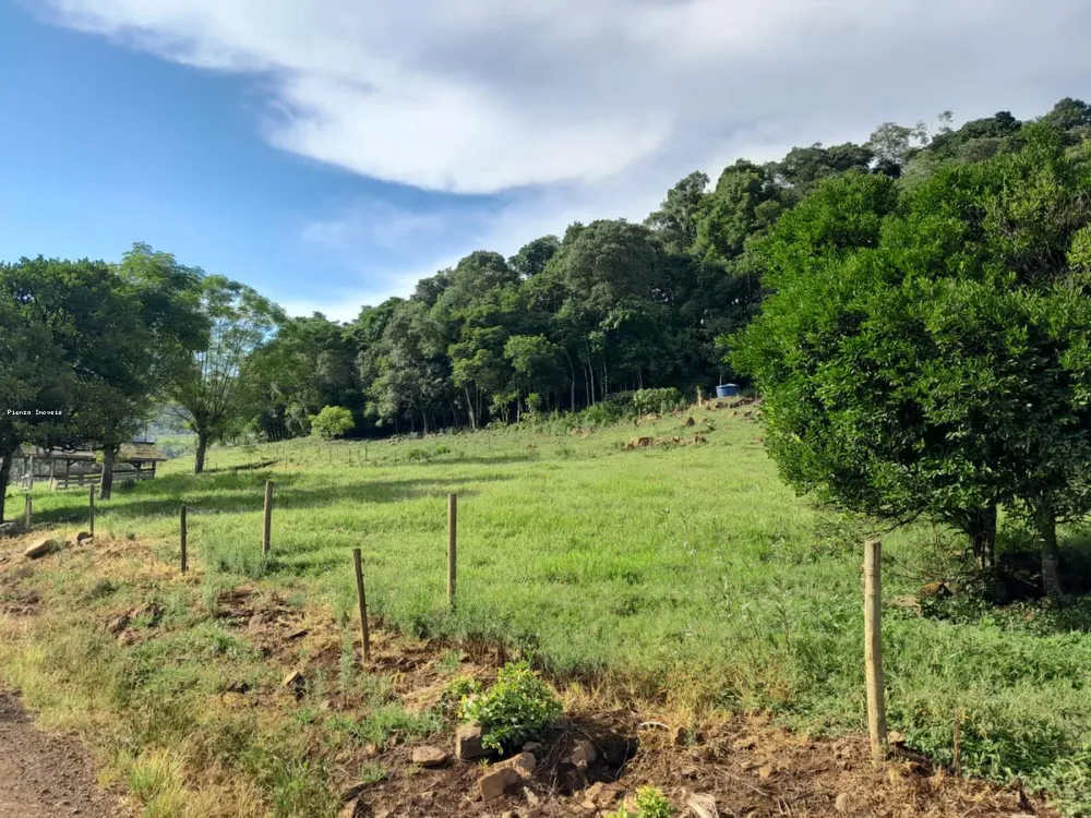 Terreno, 4 hectares - Foto 2