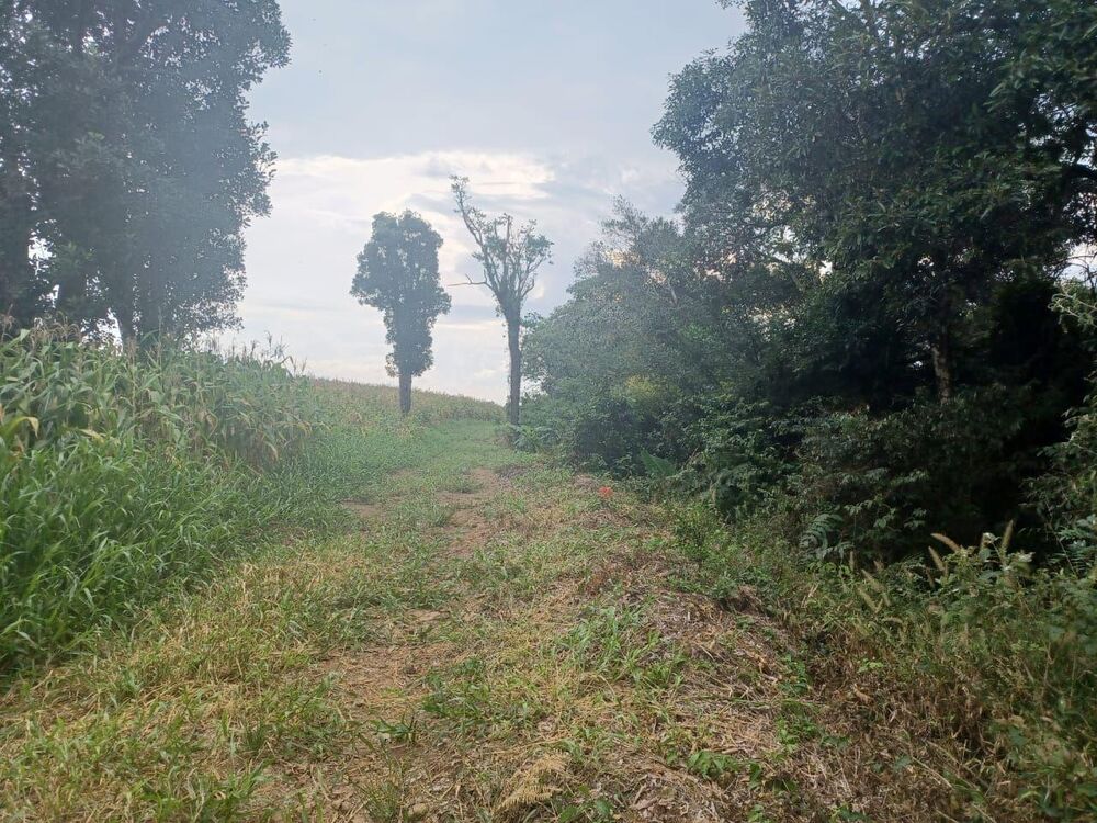 Loteamento e Condomínio à venda, 168000m² - Foto 2