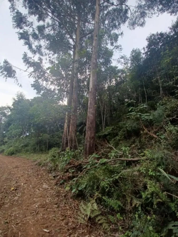 Loteamento e Condomínio, 17 hectares - Foto 7