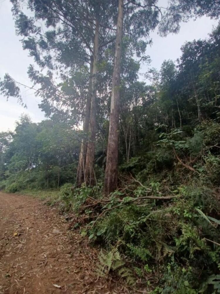 Loteamento e Condomínio à venda, 168000m² - Foto 3