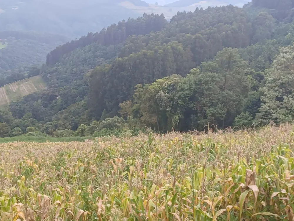 Loteamento e Condomínio, 17 hectares - Foto 9