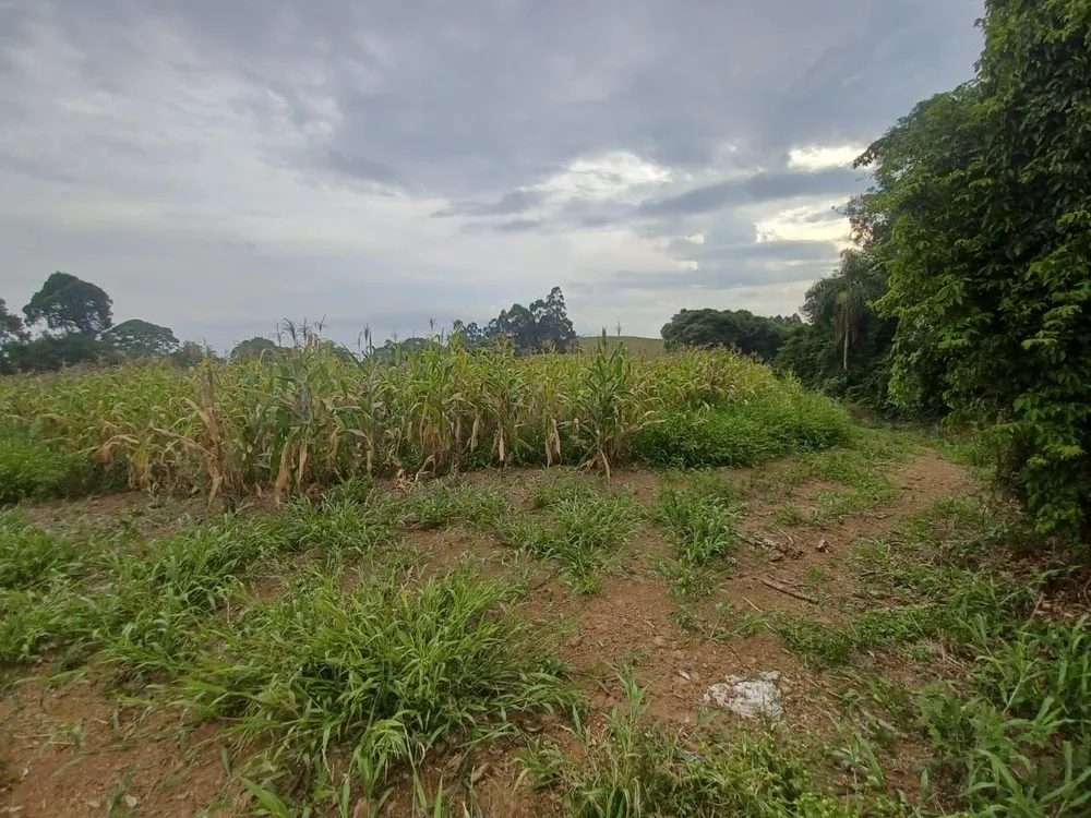 Loteamento e Condomínio, 17 hectares - Foto 4