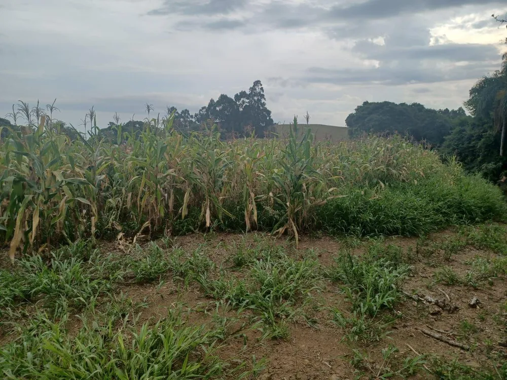 Loteamento e Condomínio, 17 hectares - Foto 1